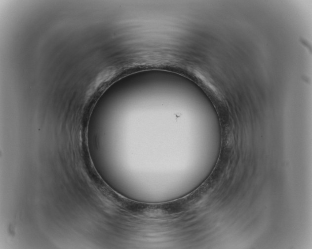 X0000096160685200801180852