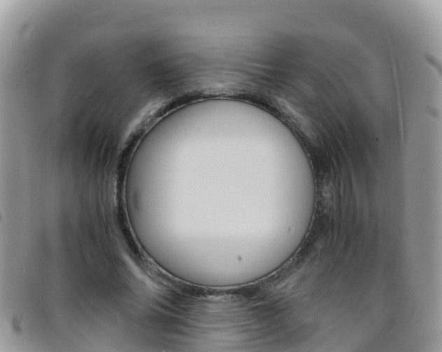 X0000096160686200801180852
