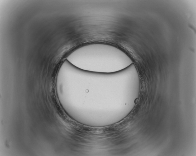 X0000096160687200801180852