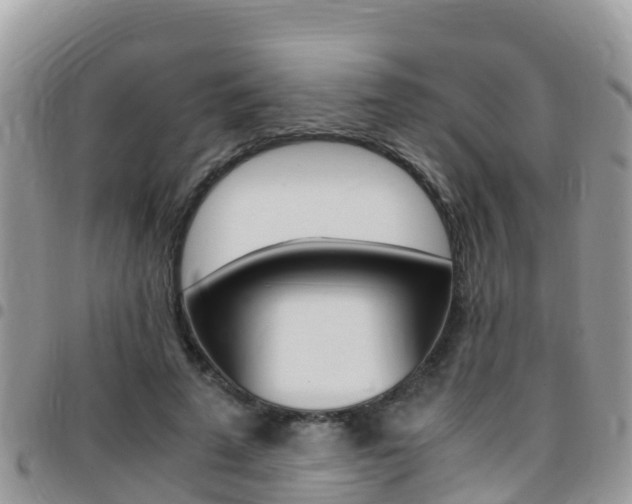 X0000096160689200801180852