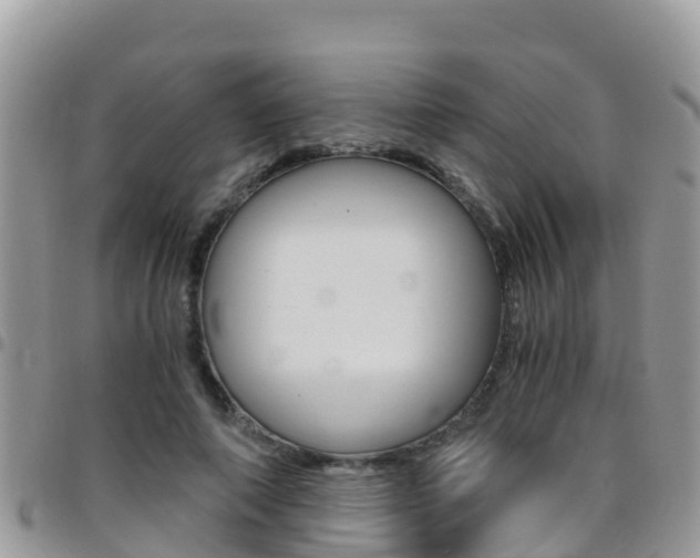 X0000096160690200801180852