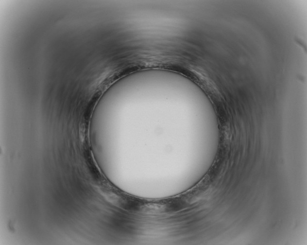 X0000096160691200801180852