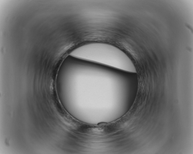 X0000096160692200801180852