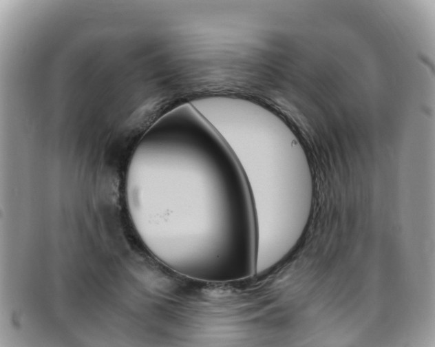 X0000096160693200801180852