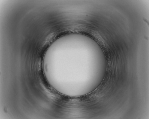 X0000096160694200801180852