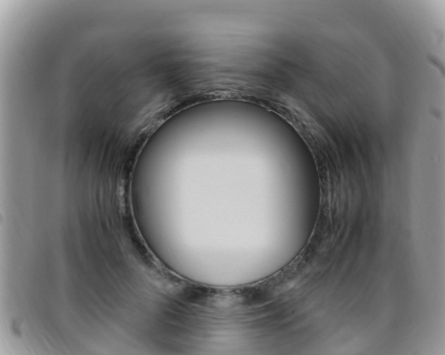 X0000096160696200801180852
