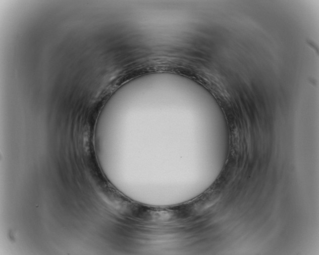 X0000096160698200801180852