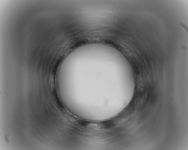 X0000096160699200801180852