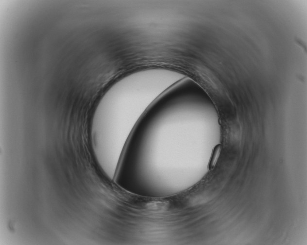 X0000096160700200801180851