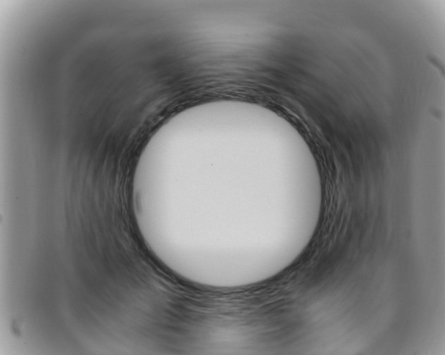 X0000096160701200801180851