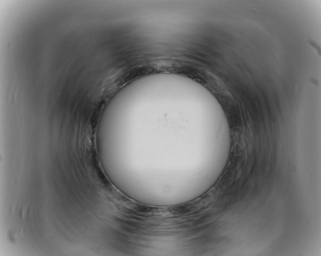 X0000096160702200801180851