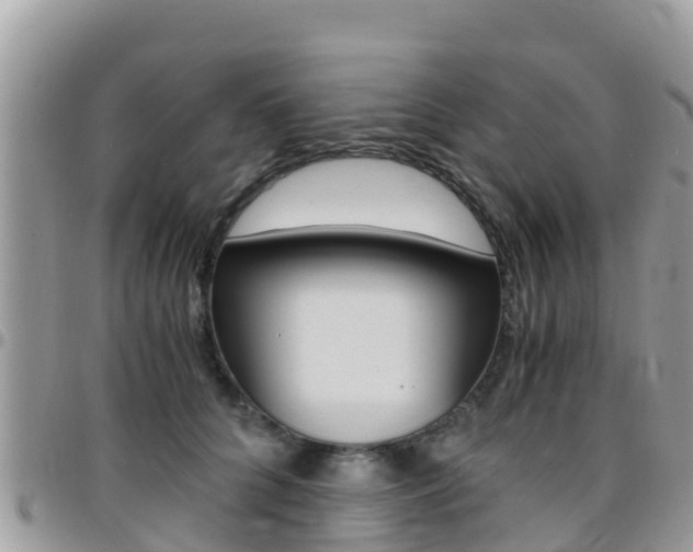 X0000096160704200801180851