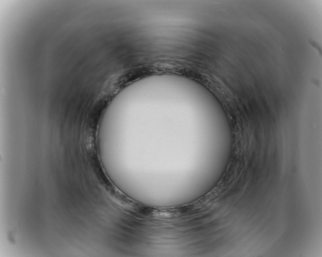X0000096160706200801180851