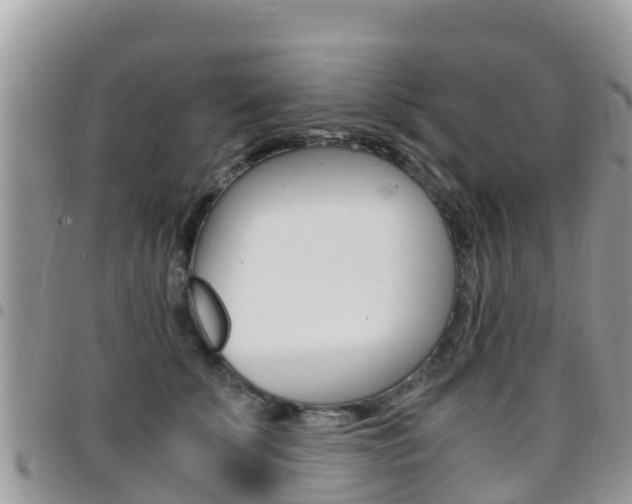 X0000096160707200801180851