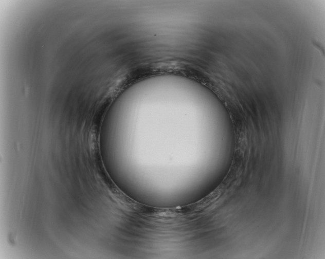 X0000096160708200801180851