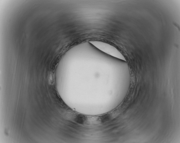 X0000096160709200801180851