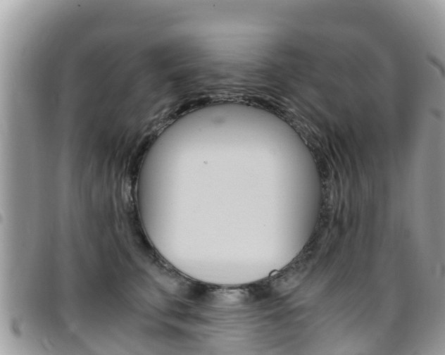 X0000096160711200801180851