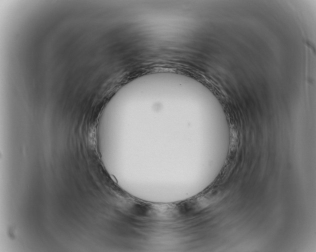 X0000096160713200801180851