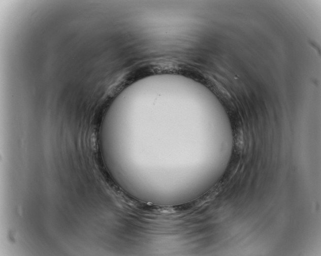 X0000096160715200801180851