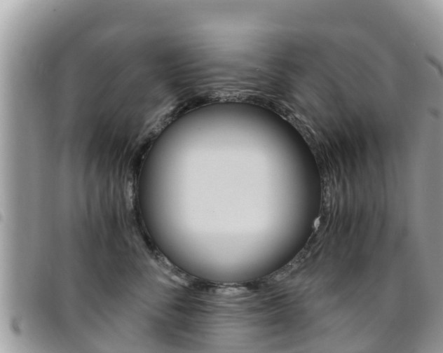 X0000096160716200801180851