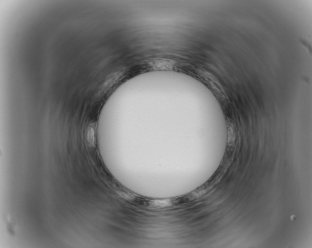 X0000096160717200801180851