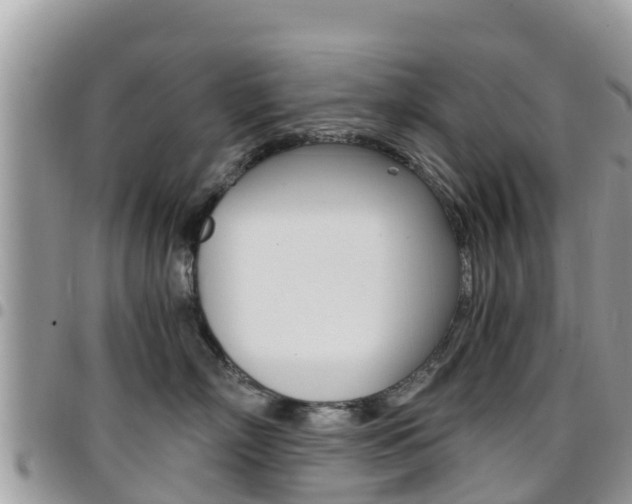 X0000096160718200801180851