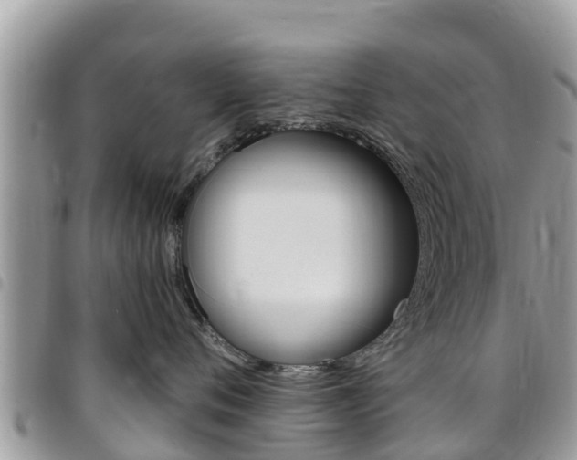 X0000096160720200801180851