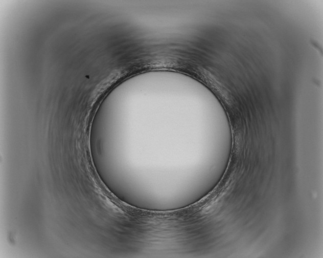X0000096160721200801180850