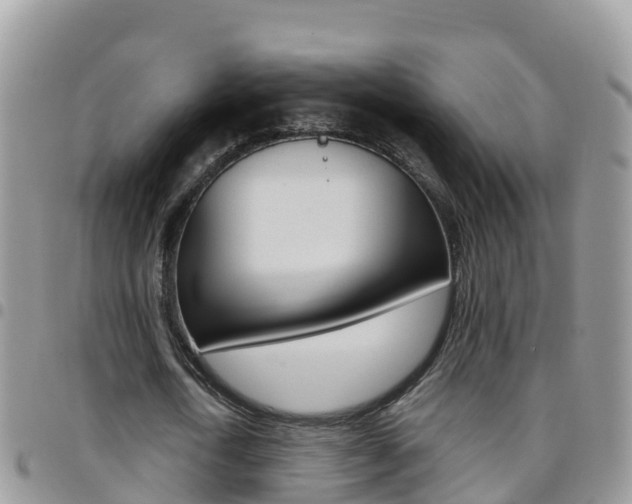 X0000096160722200801180850