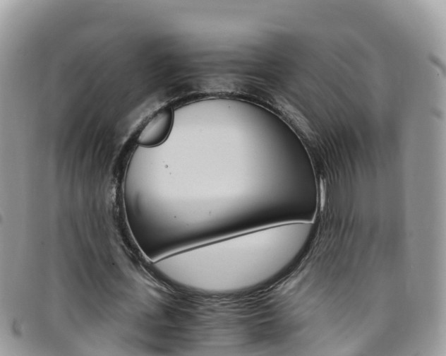 X0000096160723200801180850