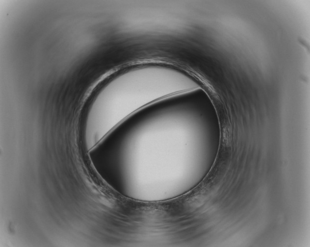 X0000096160724200801180850