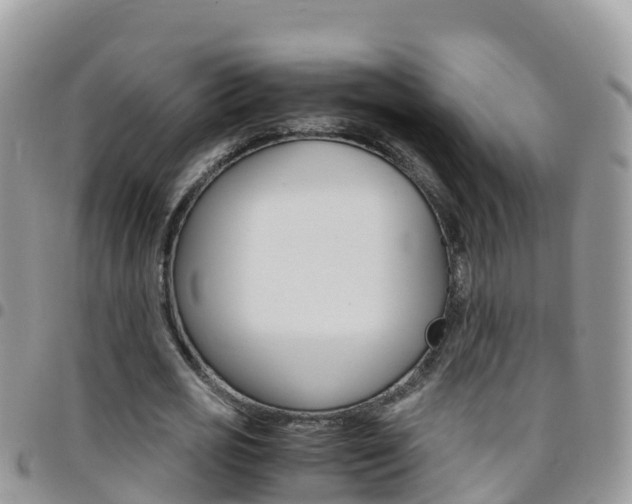 X0000096160725200801180850