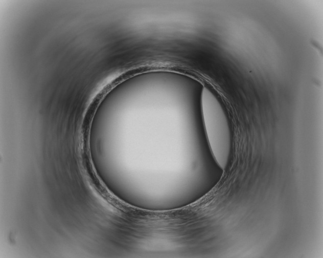 X0000096160726200801180850