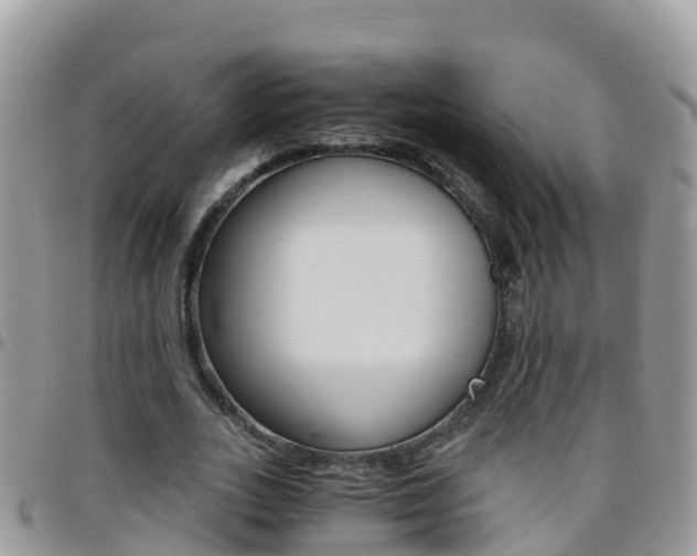 X0000096160727200801180850