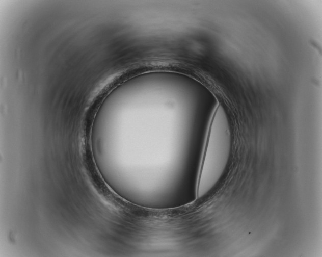 X0000096160728200801180850