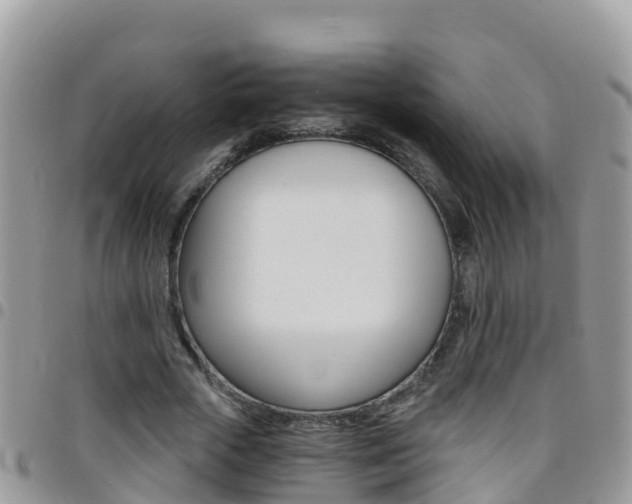X0000096160729200801180851