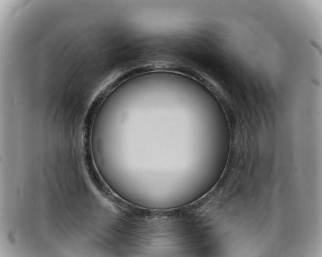 X0000096160730200801180851
