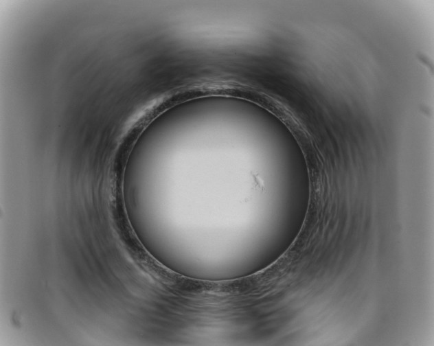 X0000096160732200801180851