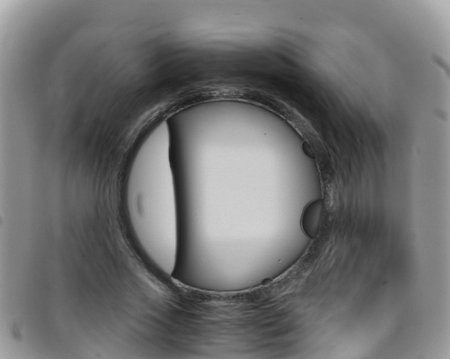 X0000096160733200801180851