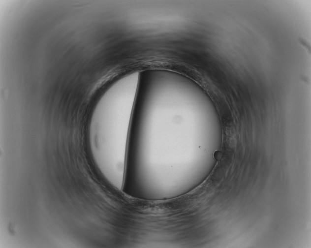 X0000096160735200801180851