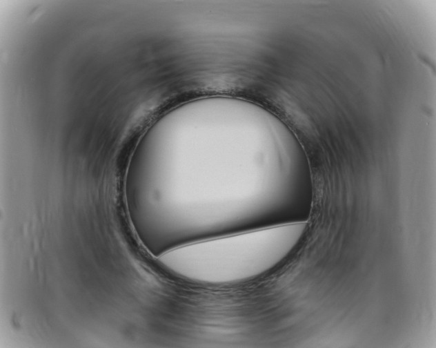 X0000096160736200801180851