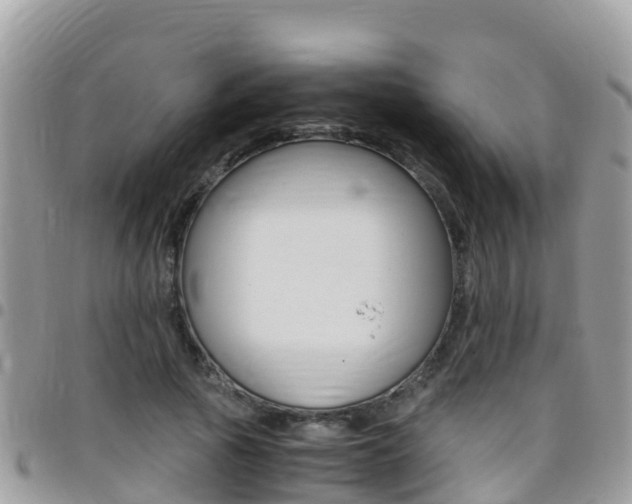 X0000096160737200801180851