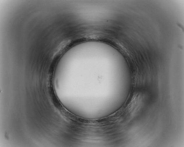 X0000096160738200801180851