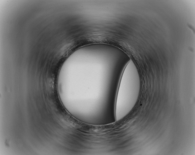 X0000096160739200801180851