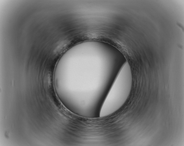 X0000096160740200801180851