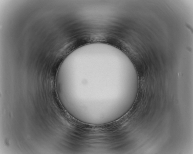X0000096160741200801180851