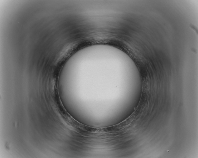 X0000096160742200801180851