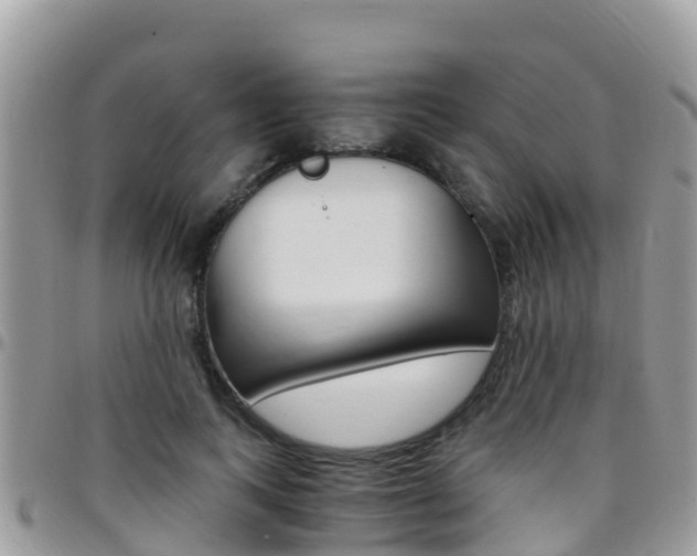 X0000096160743200801180851