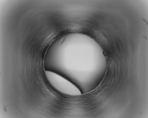 X0000096160744200801180851