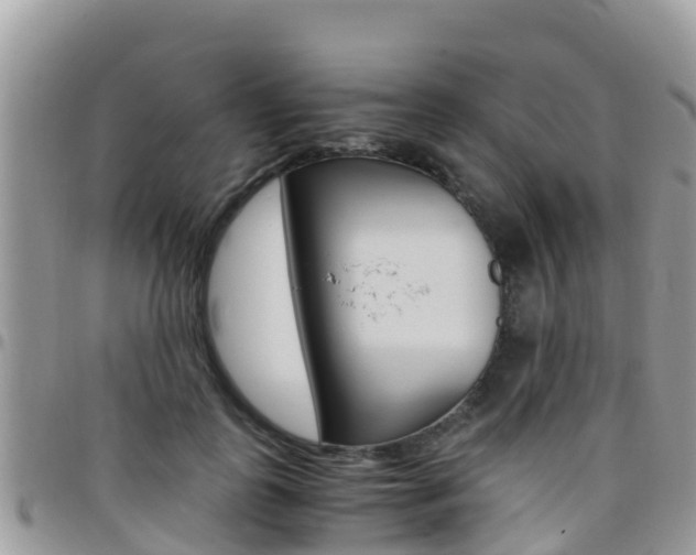 X0000096160747200801180851